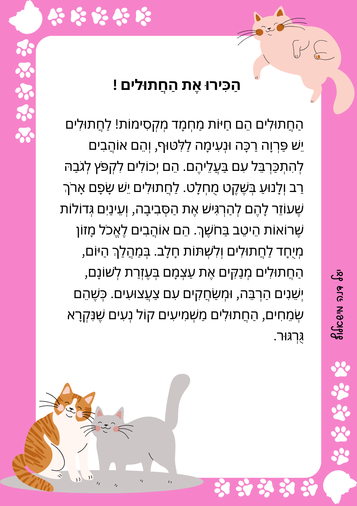 "החתולים" - טקסט מידעי - הוראה בהתאמה אישית