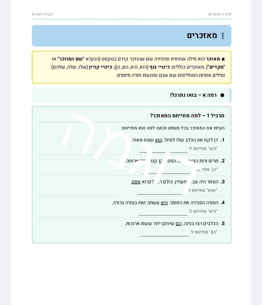 חוברת תרגול לשוני לכיתות ה - ו - הוראה בהתאמה אישית