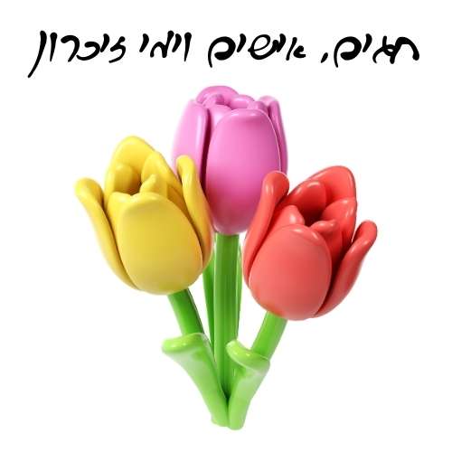 חגים, אישים וימי זיכרון - הוראה בהתאמה אישית