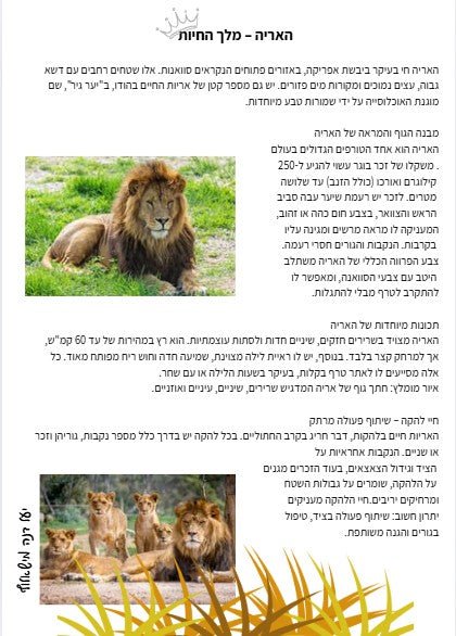 קטע מידע על האריה - הוראה בהתאמה אישית
