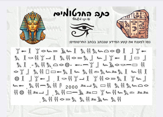 כתב החרטומים - הוראה בהתאמה אישית