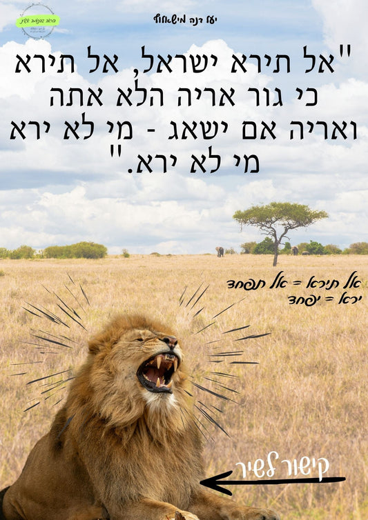שאגת הארי - "אל תירא ישראל" - הוראה בהתאמה אישית